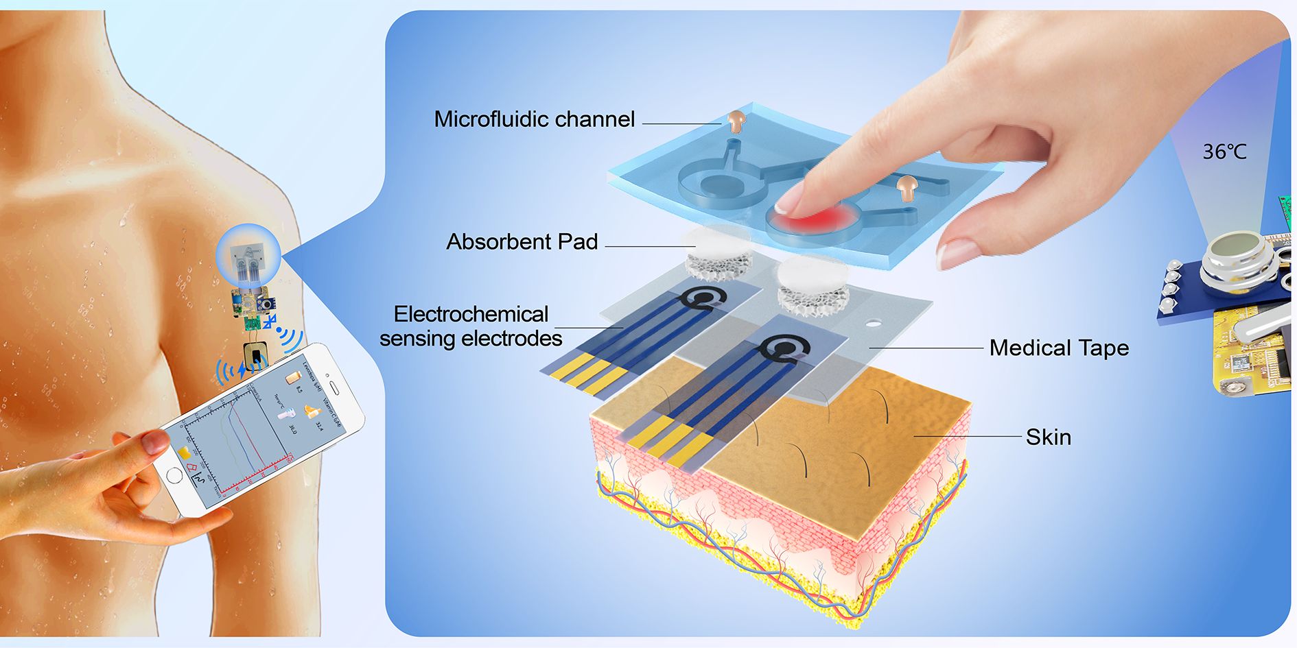 Figure1 Schematic diagram of the finger-actuated wireless-charging wearable multifunctional sweat sensing system.jpg